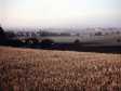 Landschaft 5